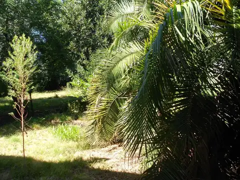 LOTE EN VENTA :: 810m2 :: ASFALTO :: CON GALPON DE 200m2