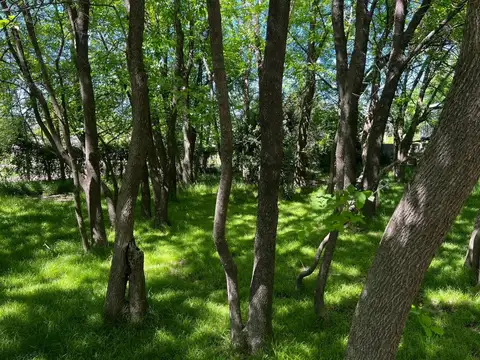 Terreno en Venta 20  mts Fondo