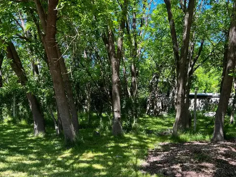 Terreno en Venta en Villa Elisa, USD 15.000