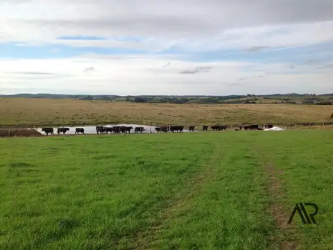 Camino vecinal sin 100