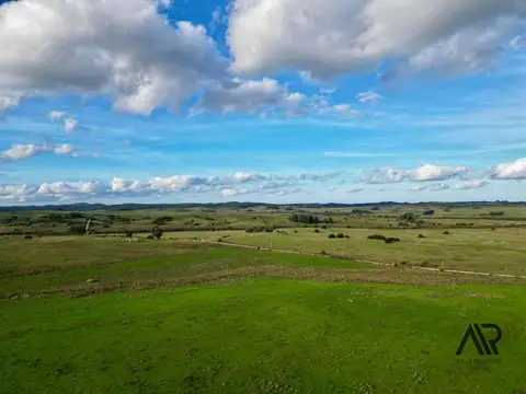 Camino vecinal sin 100