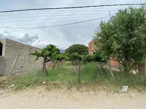 Av. automovil club argentino  CAFAYATE SALTA 100