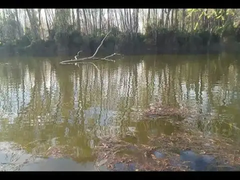 Terreno en Venta en Plottier, USD 131.000