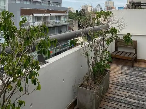 Departamento en Alquiler en Las Cañitas, USD 1.200