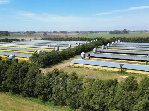Campo en Venta de 28  ha