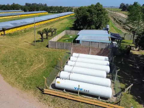 Granja Avicola - Producción a gran escala