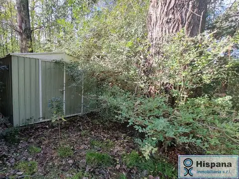 Terreno en Venta 63  mts Fondo