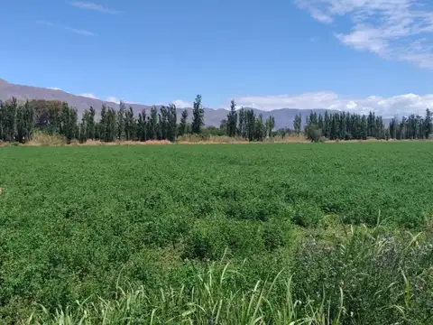 10 hectareas. sobre calle 14 y ruta 40. pocito
