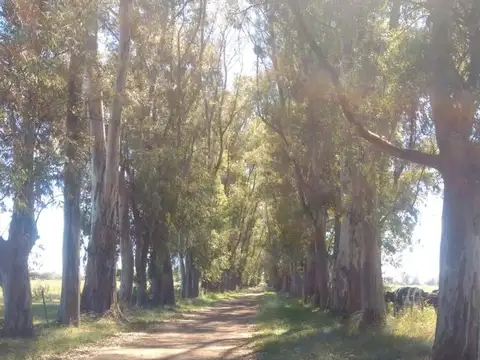 Campo en venta, Marcos Paz.