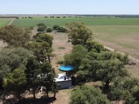 Campo en venta - 137 Hectáreas - Santa Rosa