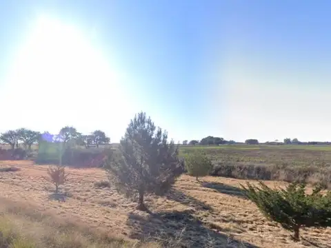 Campo en venta - 137 Hectáreas - Santa Rosa