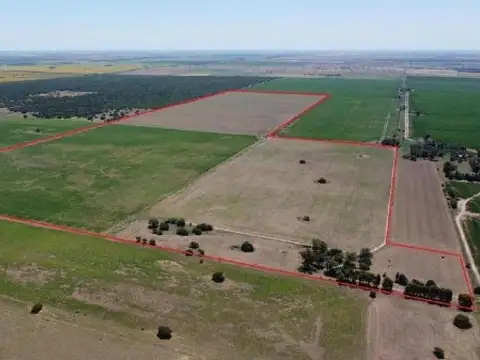 Campo en venta - 137 Hectáreas - Santa Rosa
