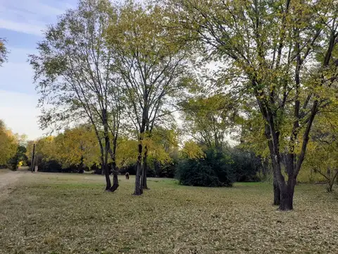 Terreno en Venta en Villa General Belgrano, USD 55.000