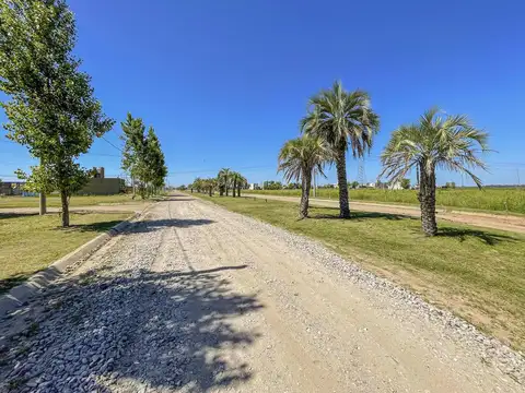 Liquidambam (entre Bv. Lapacho y el Timbo)