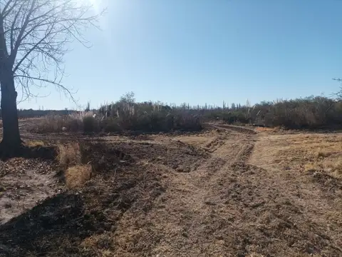 Campo - Venta - Argentina, Goudgue