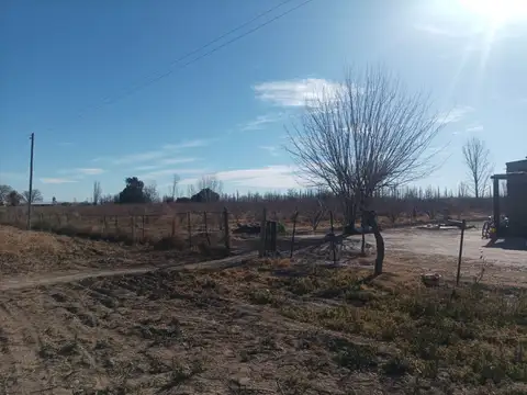 Campo - Venta - Argentina, Goudgue