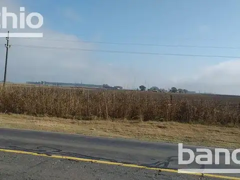 Campo - Maria Teresa