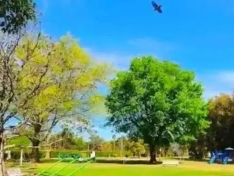 Terreno en Venta 37  mts Fondo