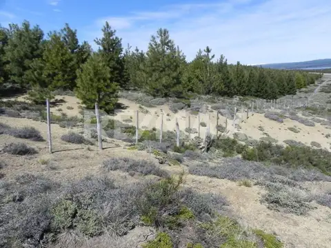 Terreno en Venta de 8298,0 m2