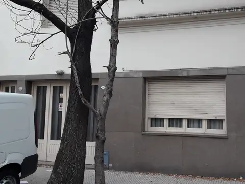 FLORES LOTE DE 8.66 X 27 