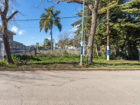 Lote en venta en Gorina con servicios asfalto