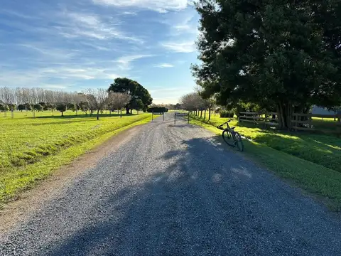 Terreno en Venta de 10000,0 m2
