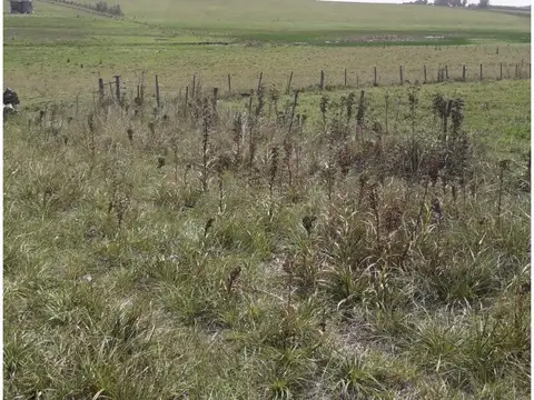 Lote - Playa de los Lobos