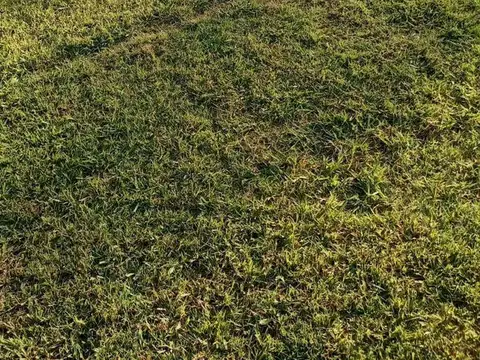 Casa 10 ambientes con 2 baños