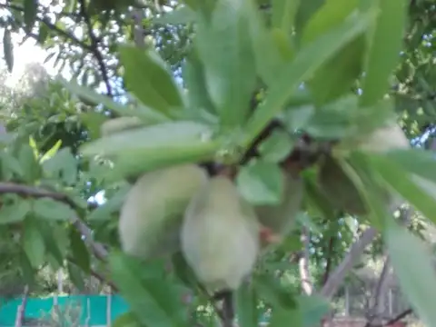 Casa en Venta 14 años