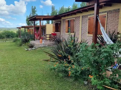 Sauce y Moradillos 100