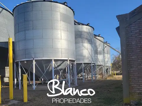 Campo  en Venta en Trenque Lauquen, Resto de la Provincia, Buenos Aires