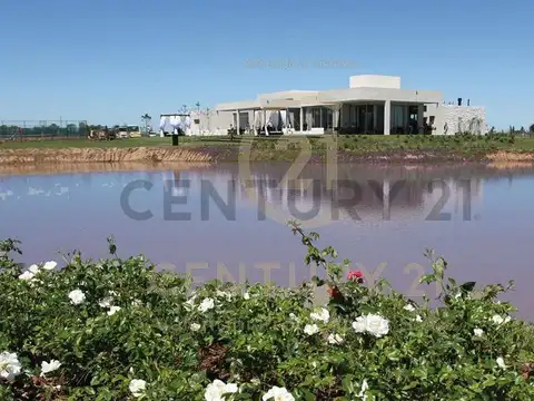 Terreno en Venta de 748,0 m2