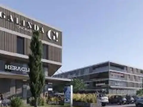 Miguel Galindo y Pictón