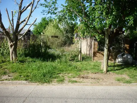 LOTE 10 X 41 MTS
