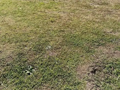 Terreno en Venta de 549,0 m2