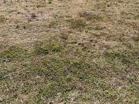 Lote Santa Elena, Pilar del Este - 500