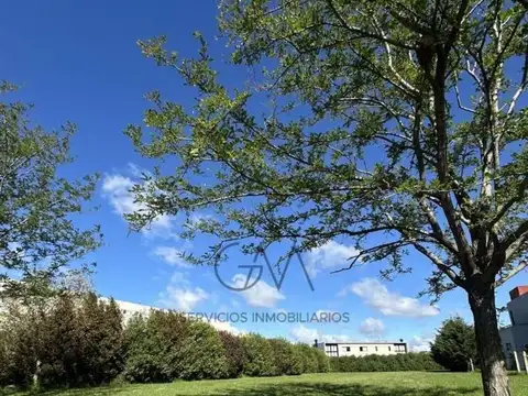 Lote en venta Arenas del Sur