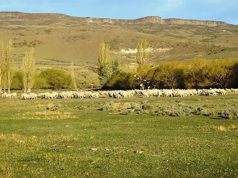 Gobernador Gregores 15 Km