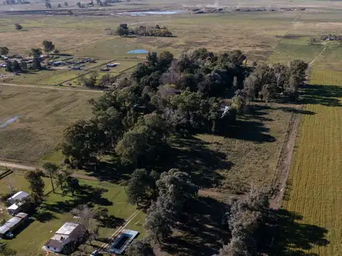 Terreno en Venta en Alejandro Korn, USD 12.000