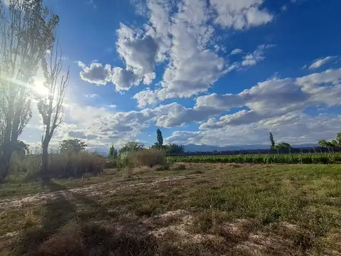 Terreno en Venta de 2000,0 m2