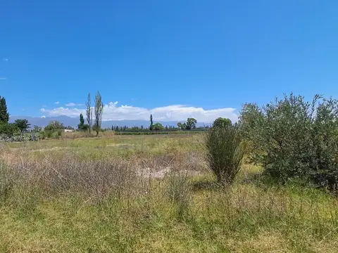 Terreno en Venta en Perdriel, USD 28.000