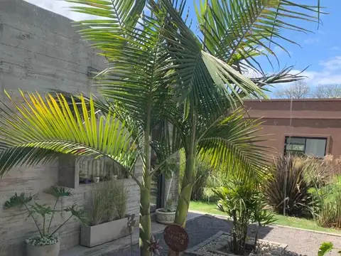 Casa  en Alq. Temporario en Santa Guadalupe, Pilar del Este, Pilar