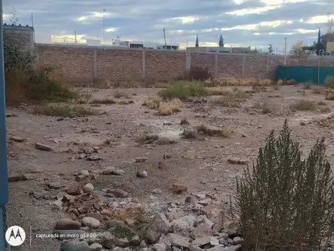 LOS NARANJO BARRIO ANDESMAR 100