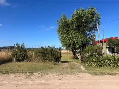 De los Nogales