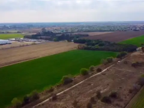 Terreno en Venta de 61755,0 m2