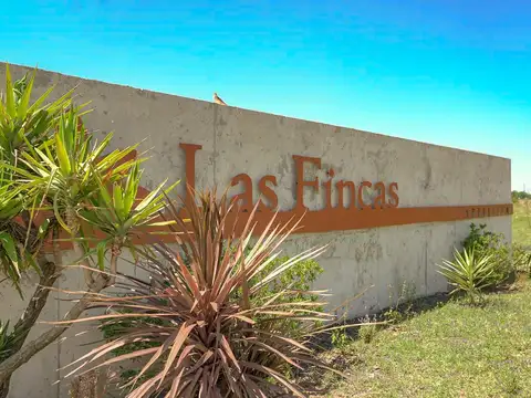 Lote Fincas de Ibarlucea - Ibarlucea.