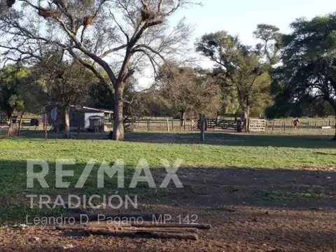 Campo Ganadero en Venta en Dpto Tapenaga