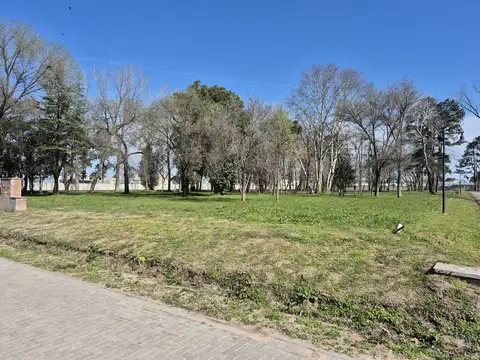 Almahue, Pilar