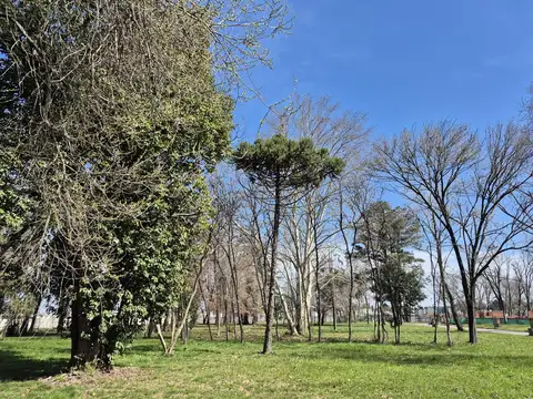 Terreno en Venta de 756,0 m2