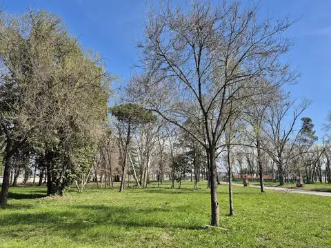 Terreno en Venta en Almahue, USD 90.000